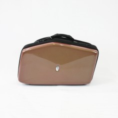 Double case 2