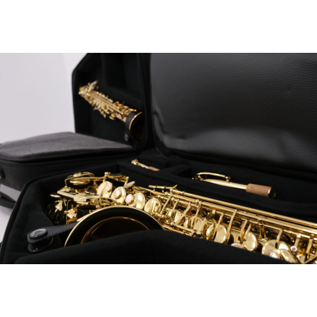 Estuche BAGS EV-III saxo alto y soprano