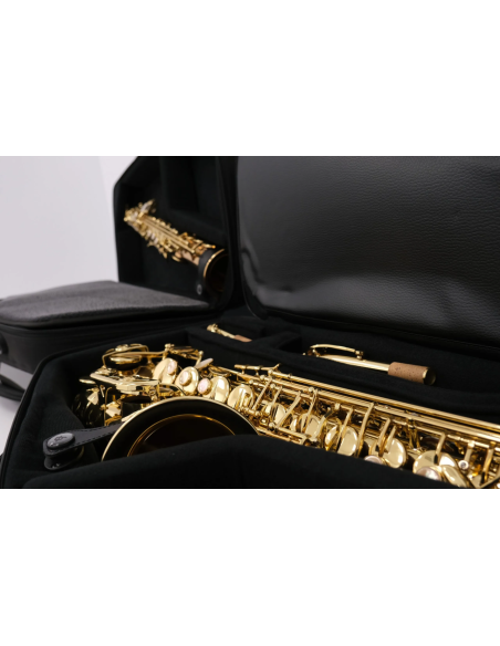 Estuche BAGS EV-III saxo alto y soprano