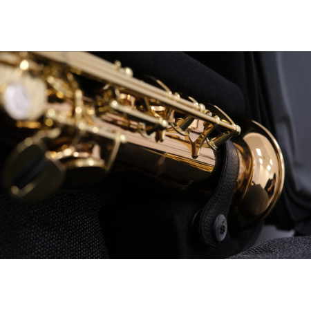 Estuche BAGS EV-III saxo alto y soprano