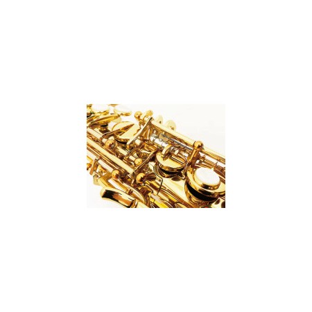 Soprano Saxophone WOOD STONE