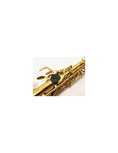 Soprano Saxophone WOOD STONE