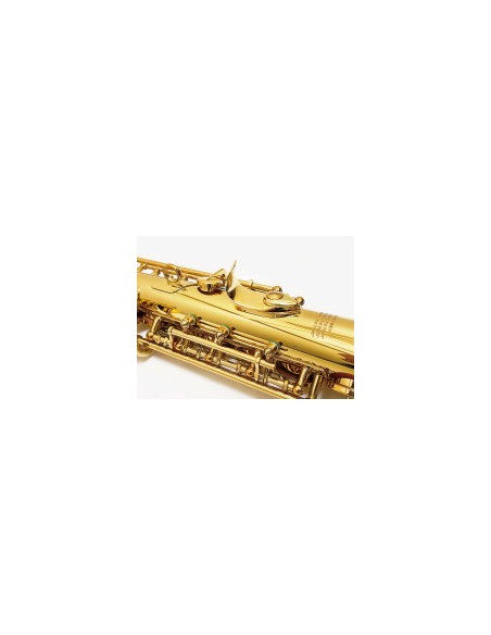 Soprano Saxophone WOOD STONE