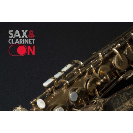 Saxofón Alto King Super 20 290XXX