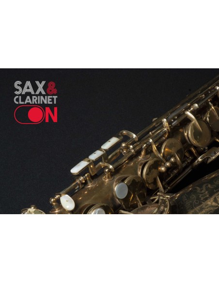 Alto Sax King Super 20 290XXX