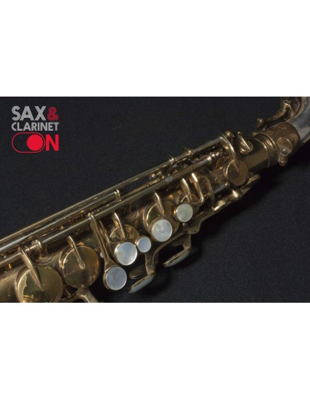 Alto Sax King Super 20 290XXX