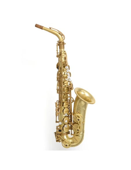 RYU RSA Artist M6 Alto Saxophone