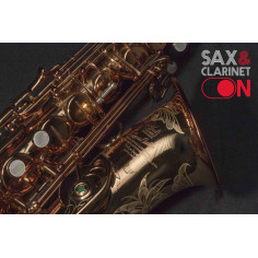 Alto Saxophone Wood Stone «SUPER CUSTOM» VL 2