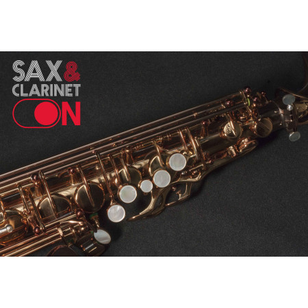Saxofón Alto Wood Stone «New Vintage» VL