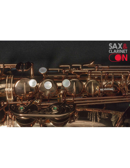 Saxofón Alto Wood Stone «New Vintage» VL