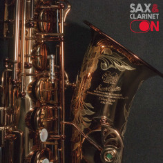 Alto Saxophone Wood Stone «SUPER CUSTOM» VL