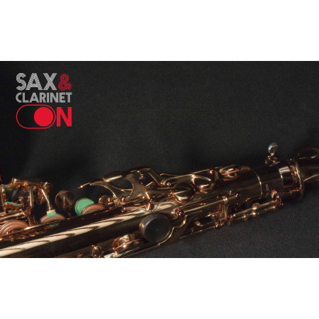 Saxofón Alto Wood Stone «New Vintage» VL