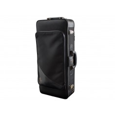 Saxofón Alto Yanagisawa A-WO10 2