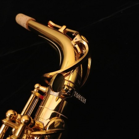 Saxofón Alto Yamaha CUSTOM 875 EX