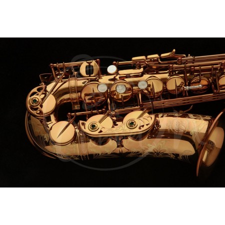 Alto Saxophone Wood Stone «New Vintage» VL