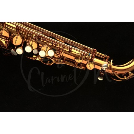 Saxofón Alto Wood Stone «New Vintage» VL