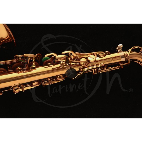 Saxofón Alto Wood Stone «New Vintage» VL