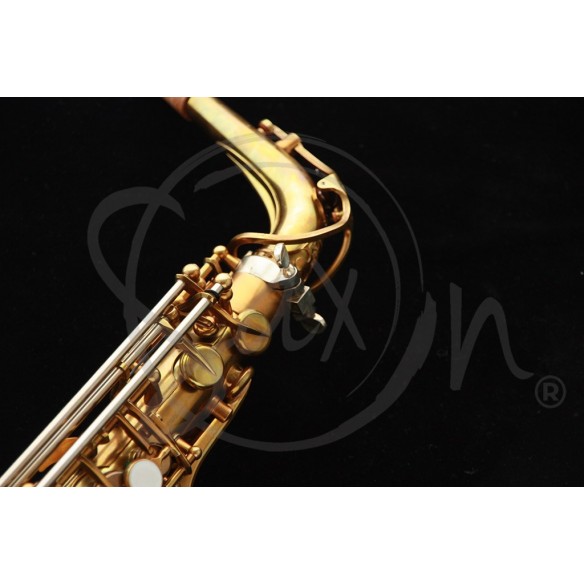 Alto Saxophone Wood Stone «New Vintage» AF