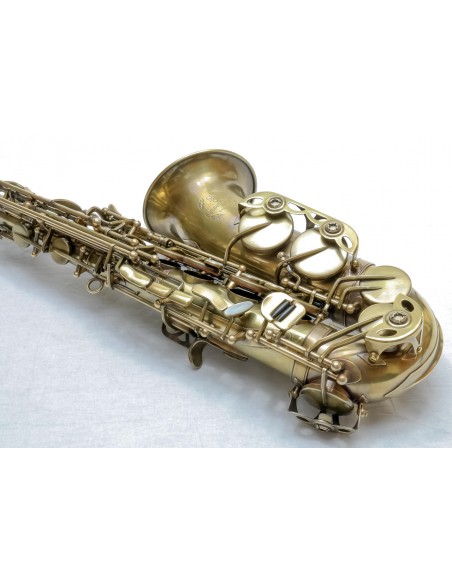TREVOR JAMES Signature Custom RAW alto saxophone