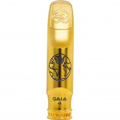 Theo Wanne GAIA 4 metal tenor sax mouthpiece