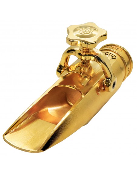 Boquilla Theo Wanne DURGA 5 metal saxo alto