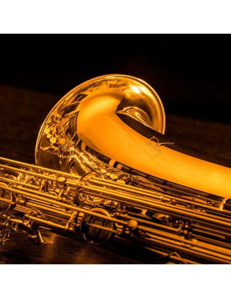 Rampone & Cazzani PERFORMANCE line baritone sax