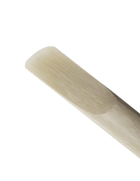 Tenor Sax Reed D'Addario VENN