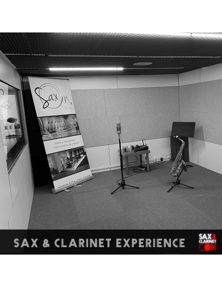 CLARINET EXPERIENCE