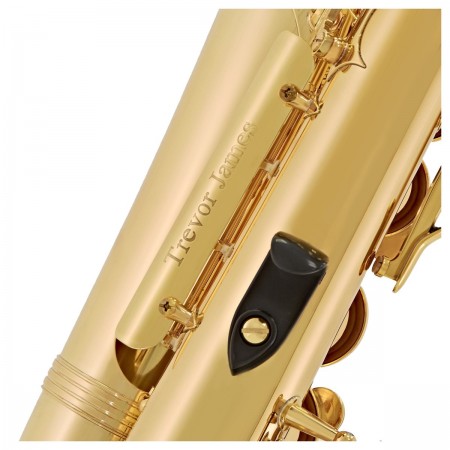 Trevor James Alpha Sax