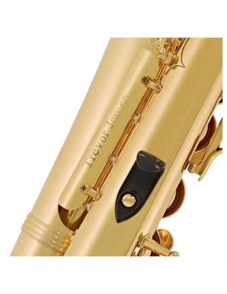 Saxo Trevor James AlphaSax