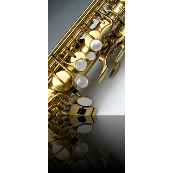 Saxofón alto Rampone 2006/J/OT