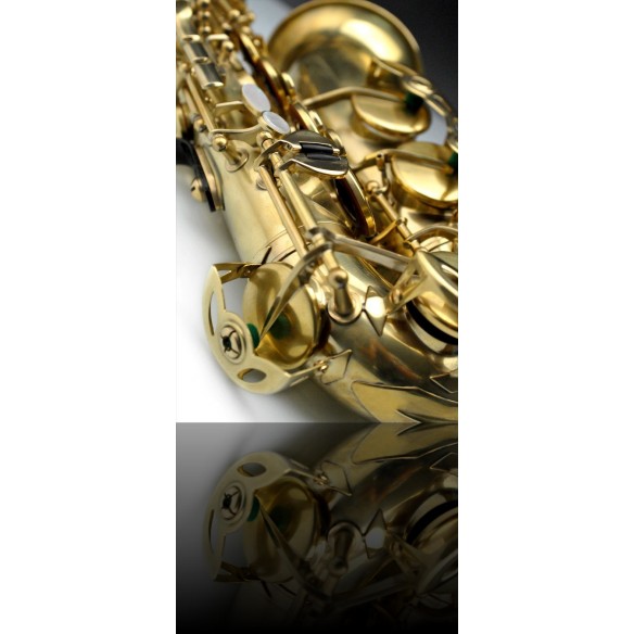 Saxofón alto Rampone 2006/J/OT