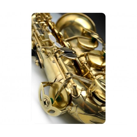 Saxofón alto Rampone 2006/J/OT