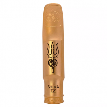 Theo Wanne SHIVA IV metal tenor sax mouthpiece