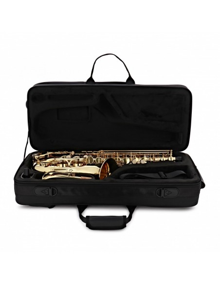 Saxofón alto Buffet PRODIGE BC8301-1-0GB