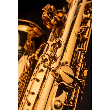Selmer Signature alto saxophone