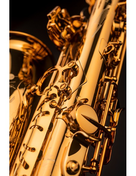 Selmer Signature alto saxophone
