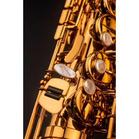 Selmer Signature alto saxophone