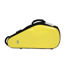 Bags case for alto saxophone 2