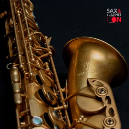 EAS253 Eastman saxo alto