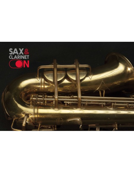 Alto Buescher Big B 313xxx