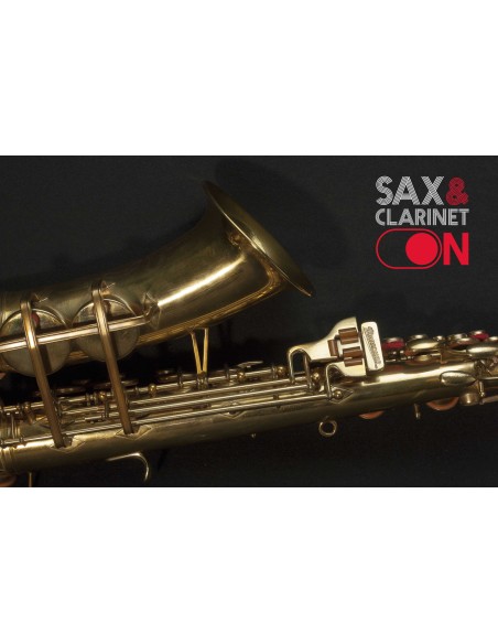 Alto Buescher Big B 313xxx