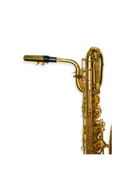 cheap Baritone sax Taylor Collins