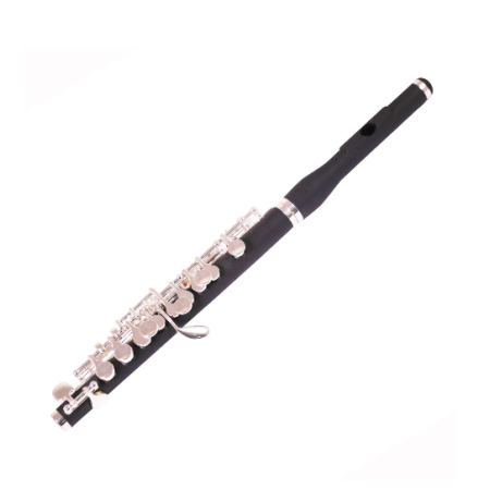 Trevor James 5X student piccolo