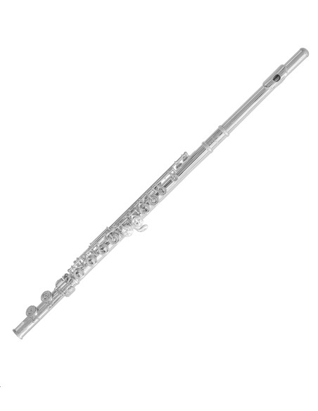 Trevor James TJ10xE Flute