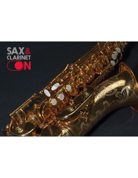 Saxofón Alto DAVE GUARDALA  0073XX