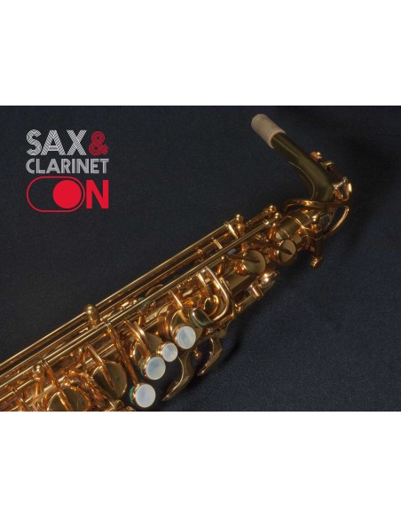 Saxofón Alto DAVE GUARDALA  0073XX