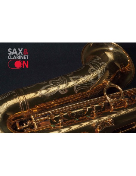 Saxofón Alto DAVE GUARDALA  0073XX