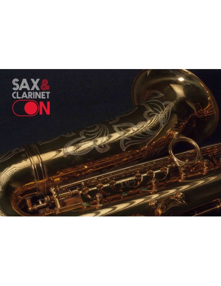 Saxofón Alto DAVE GUARDALA  0073XX