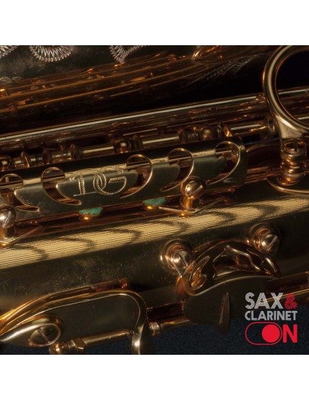 Saxofón Alto DAVE GUARDALA  0073XX